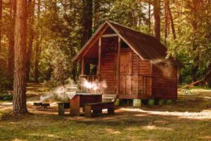 Posiadanie terenu leśnego - plusy i minusy zakupu działki otoczonej przez drzewa