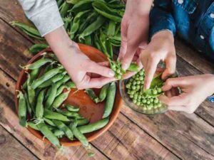 Jak i kiedy uprawiać groszek pachnący – idealne miejsce oraz nawożenie